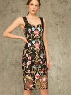Bronx and Banco Women’s Agata Floral Embroidered Lace Midi Dress